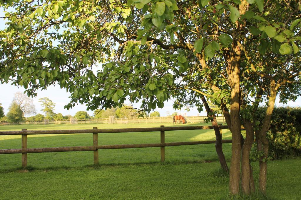 The Jockey Room Hideaway Spurstow Exterior photo